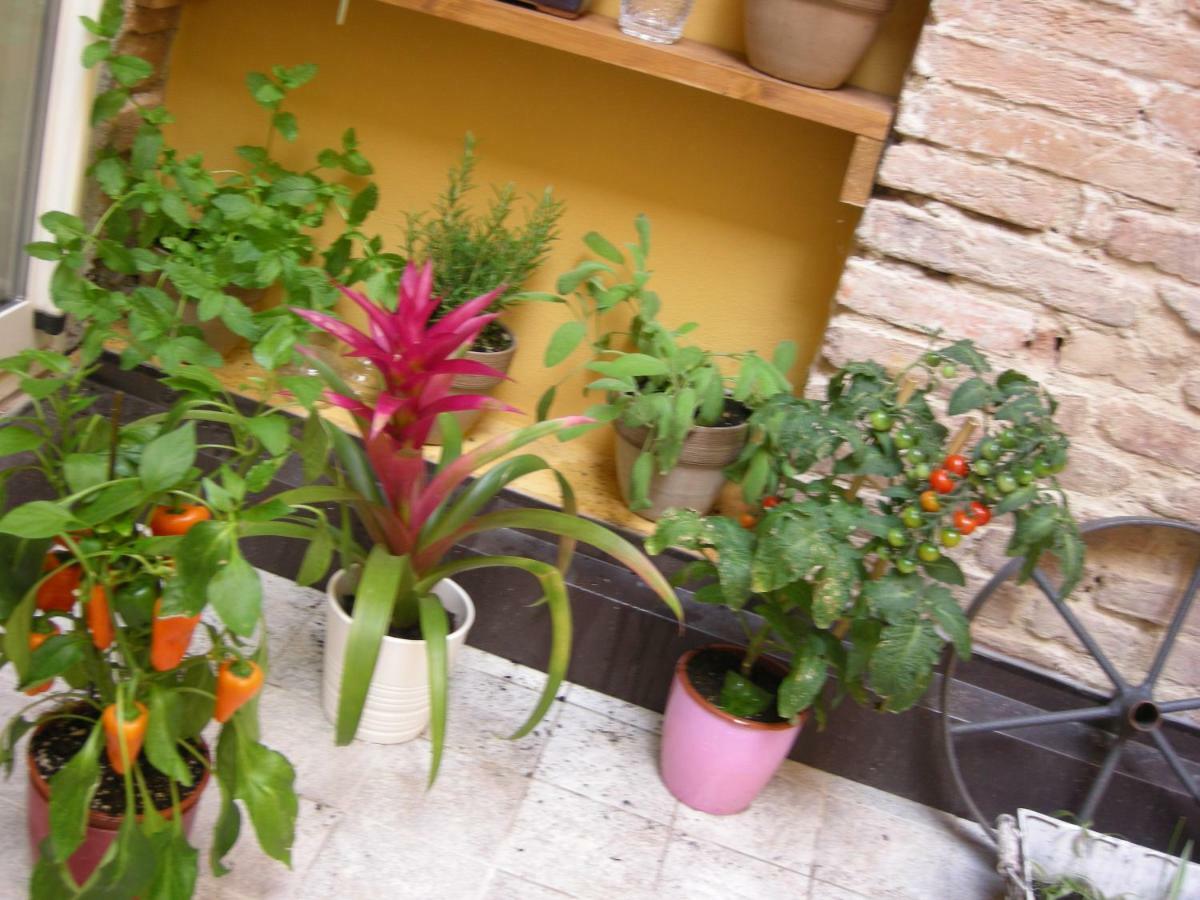 Ferienwohnung Terrazza Petroni Bologna Exterior foto